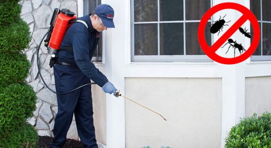Akçakale Böcek ve Haşere İlaçlama böcek ilaçlama ve haşere kontrolü — ilaclama-tr.com
